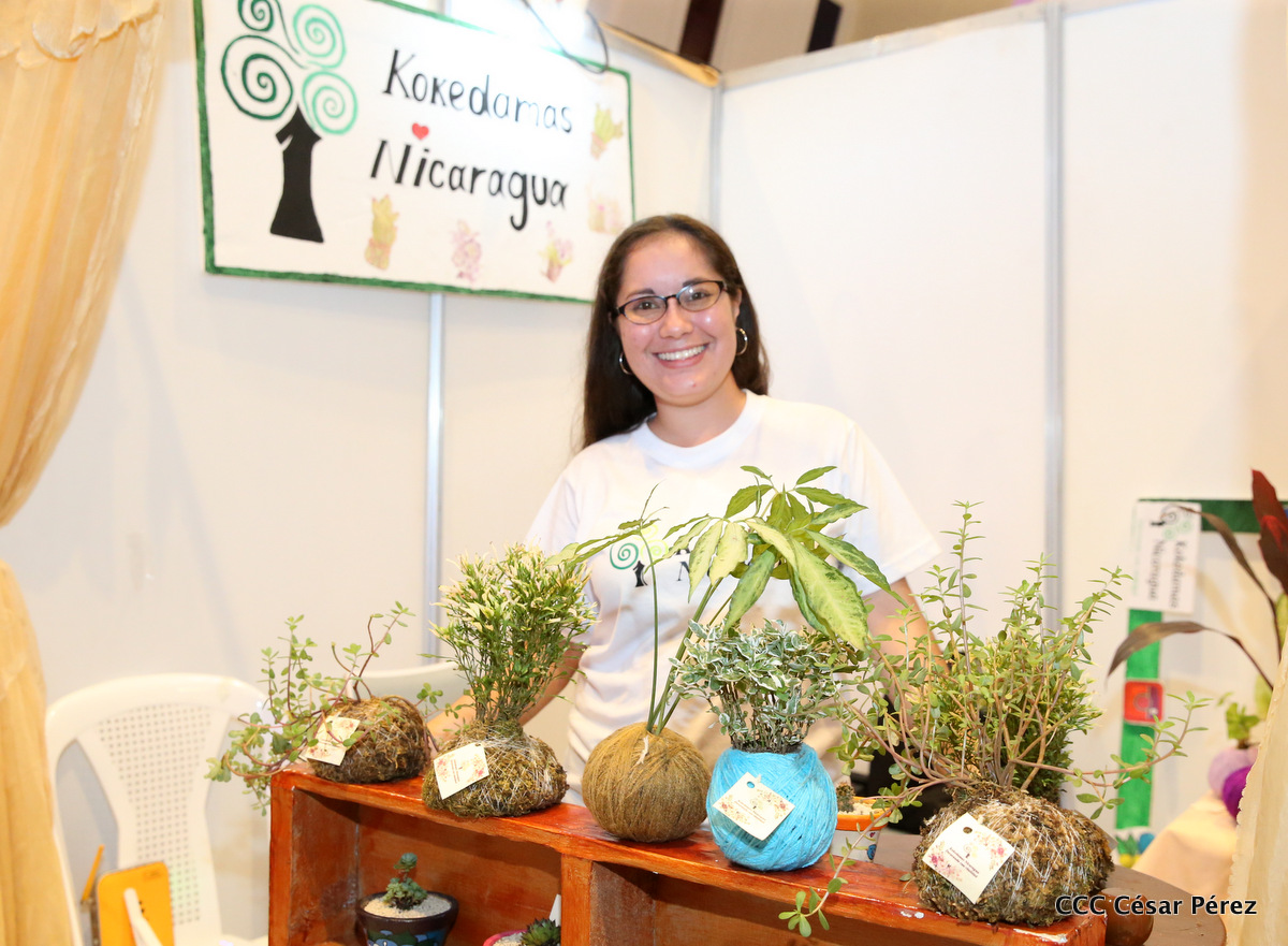 emprende